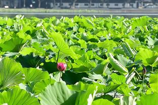 《天下足球》栏目更换片头，删除了梅西手捧大力神杯的镜头